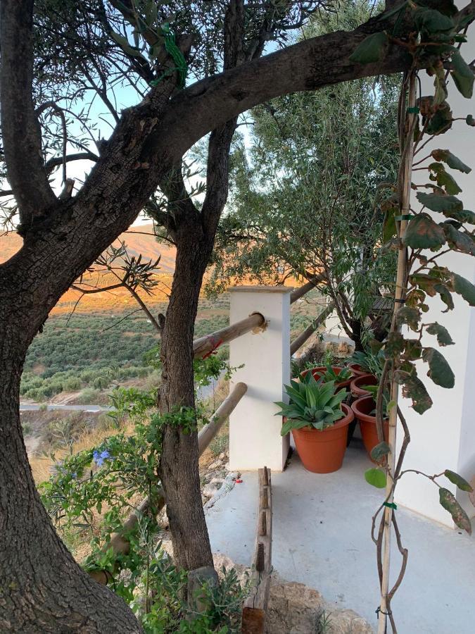 Cortijo Samadhi Pension Lanjarón Buitenkant foto