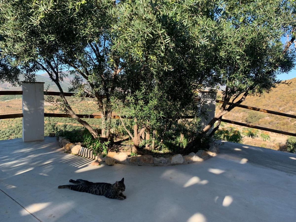Cortijo Samadhi Pension Lanjarón Buitenkant foto